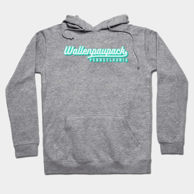 Lake Wallenpaupack Pennsylvania Hoodie by Zen Cosmos Official